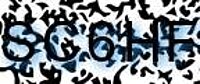 grafischer Sicherheitscode