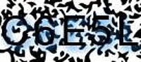 grafischer Sicherheitscode