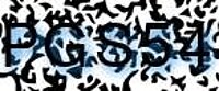 grafischer Sicherheitscode