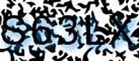grafischer Sicherheitscode